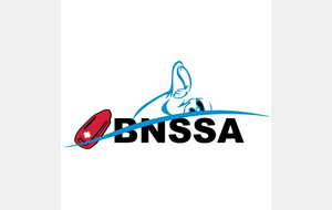 BNSSA