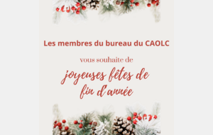 Joyeuses Fêtes