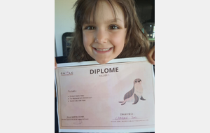 Diplômes Louveteaux
