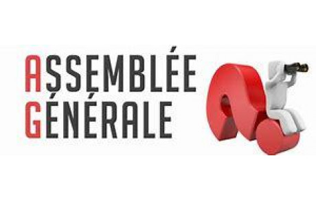 ASSEMBLEE GENERALE ORDINAIRE 