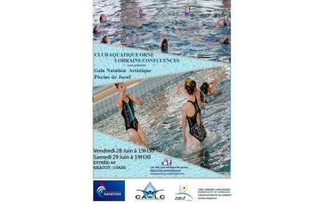 GALAS DE NATATION ARTISTIQUE 